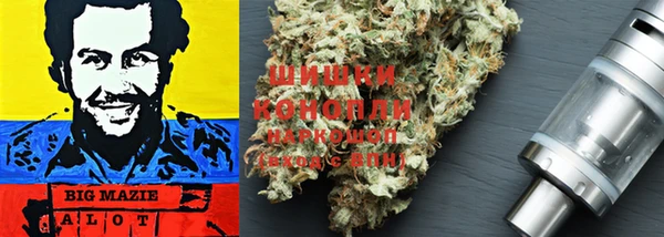 гашик Липки