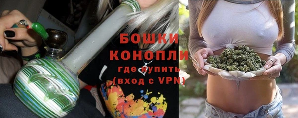 гашик Липки